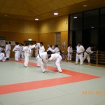 IMGP1748